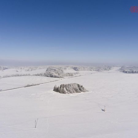 Penzion Albeř Nová Bystřice Exteriér fotografie